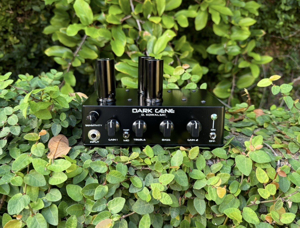 D Kowalski Dark Gene 5w Mini Tube Amp Handwired USA High Gain