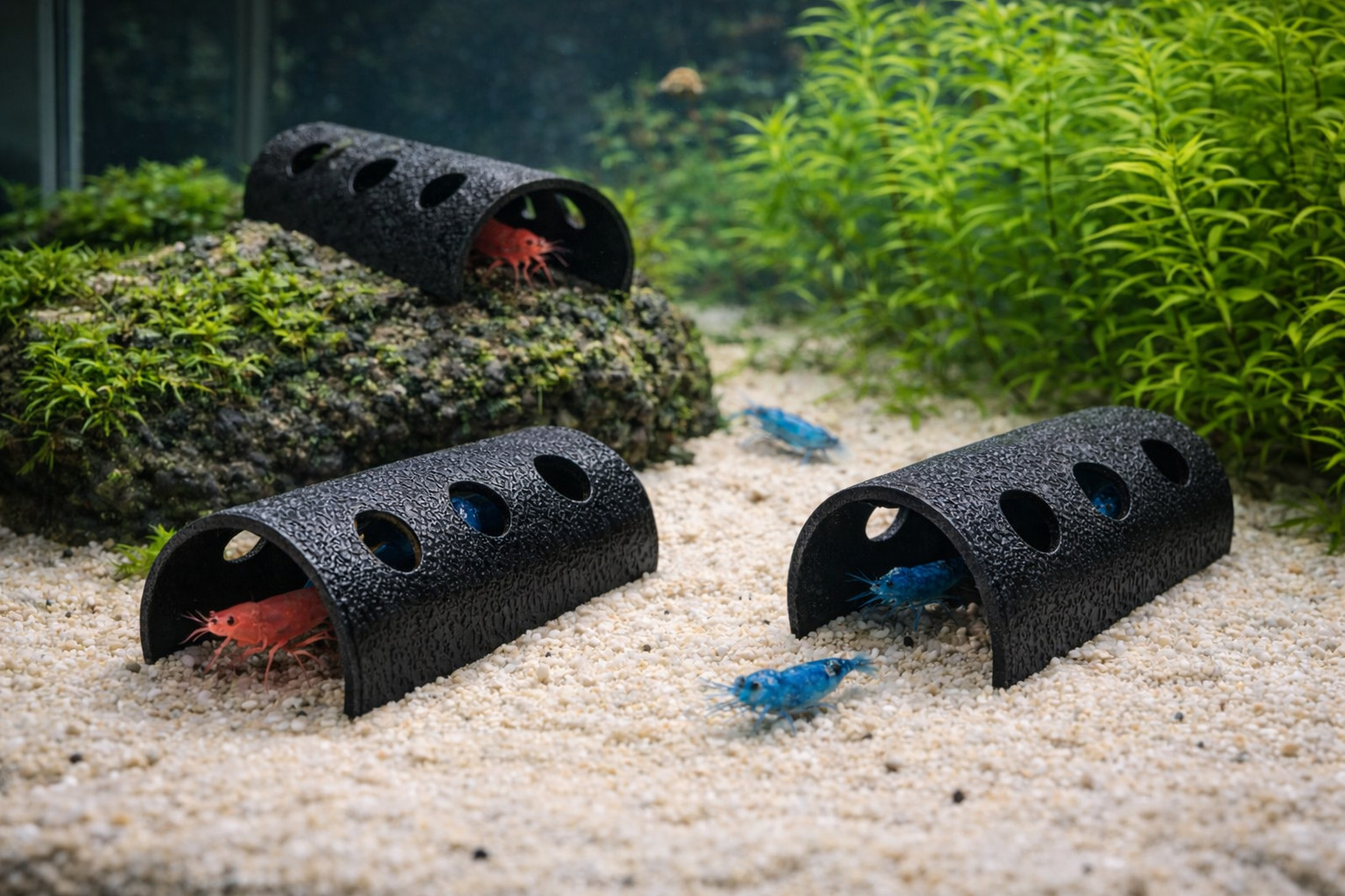 3pcs AquaGeex Aquarium shrimp fish tube shelter hiding breeding fry cave betta