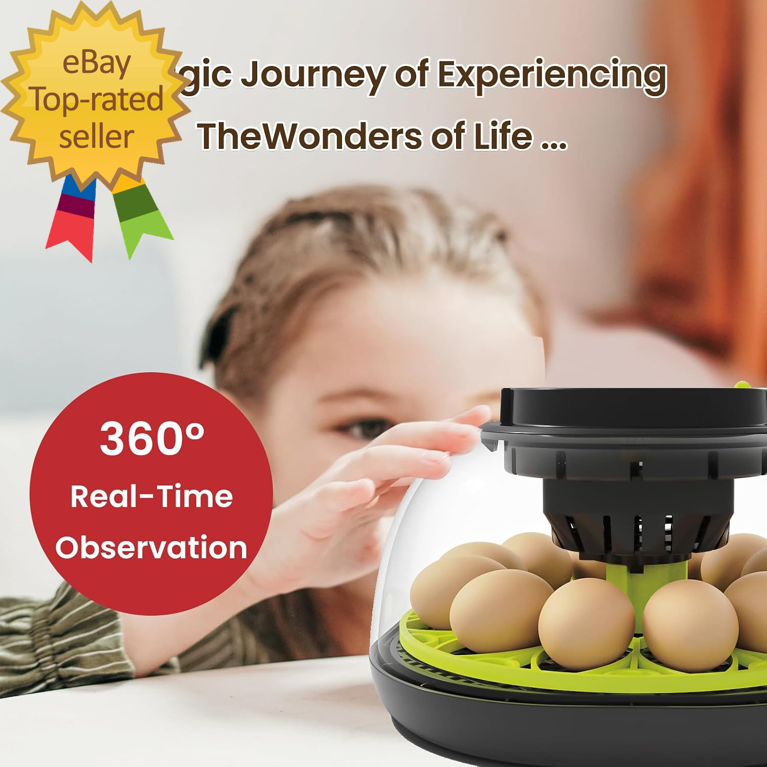 12 Egg Incubator with Automatic Egg Turning and Humidity Control Auto Water