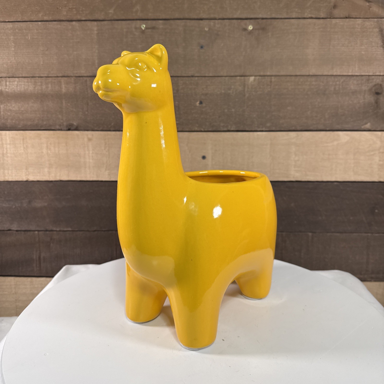 Beautiful Large Yellow Alpaca Planter