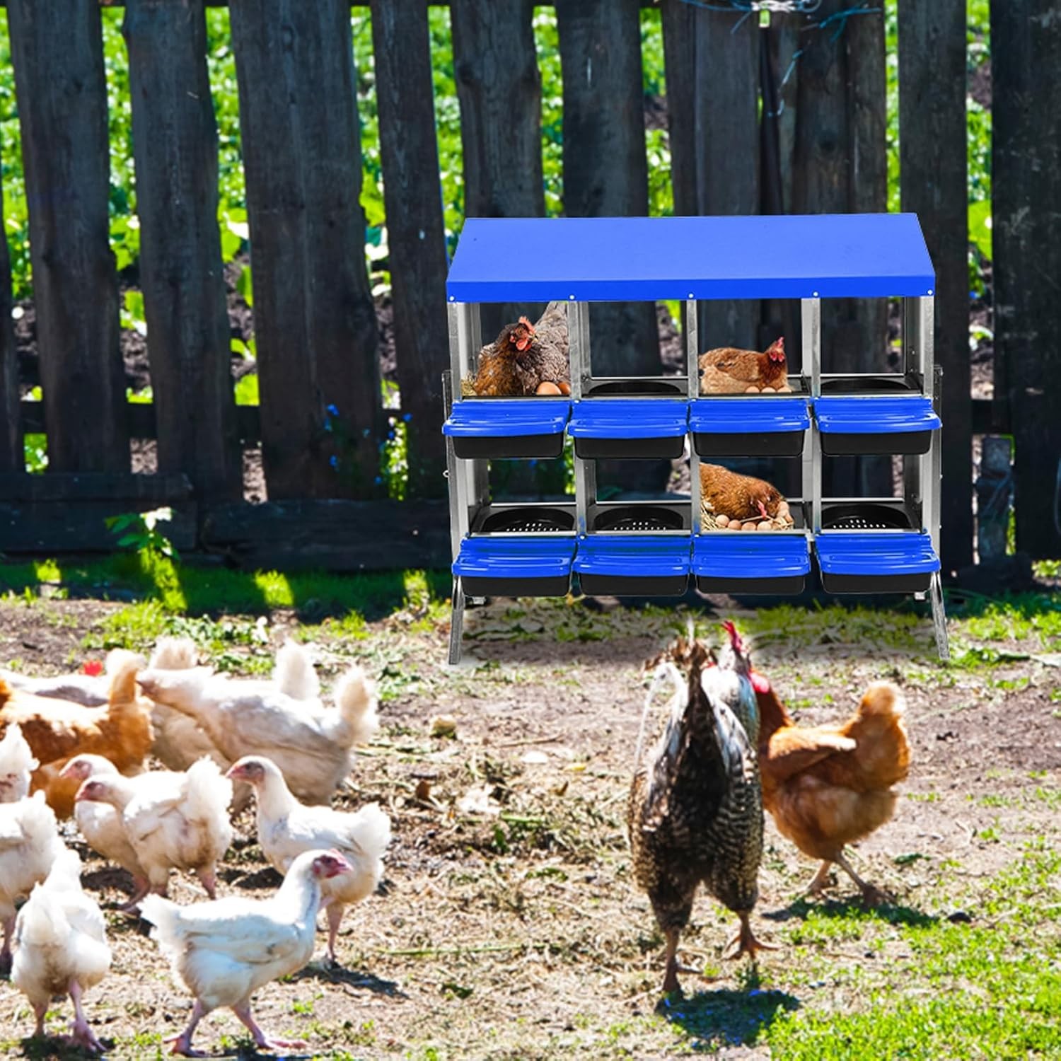 8 Compartment Metal Chicken Nesting Box w/Leg for Hens,Eggs Coop Poultry Shelter