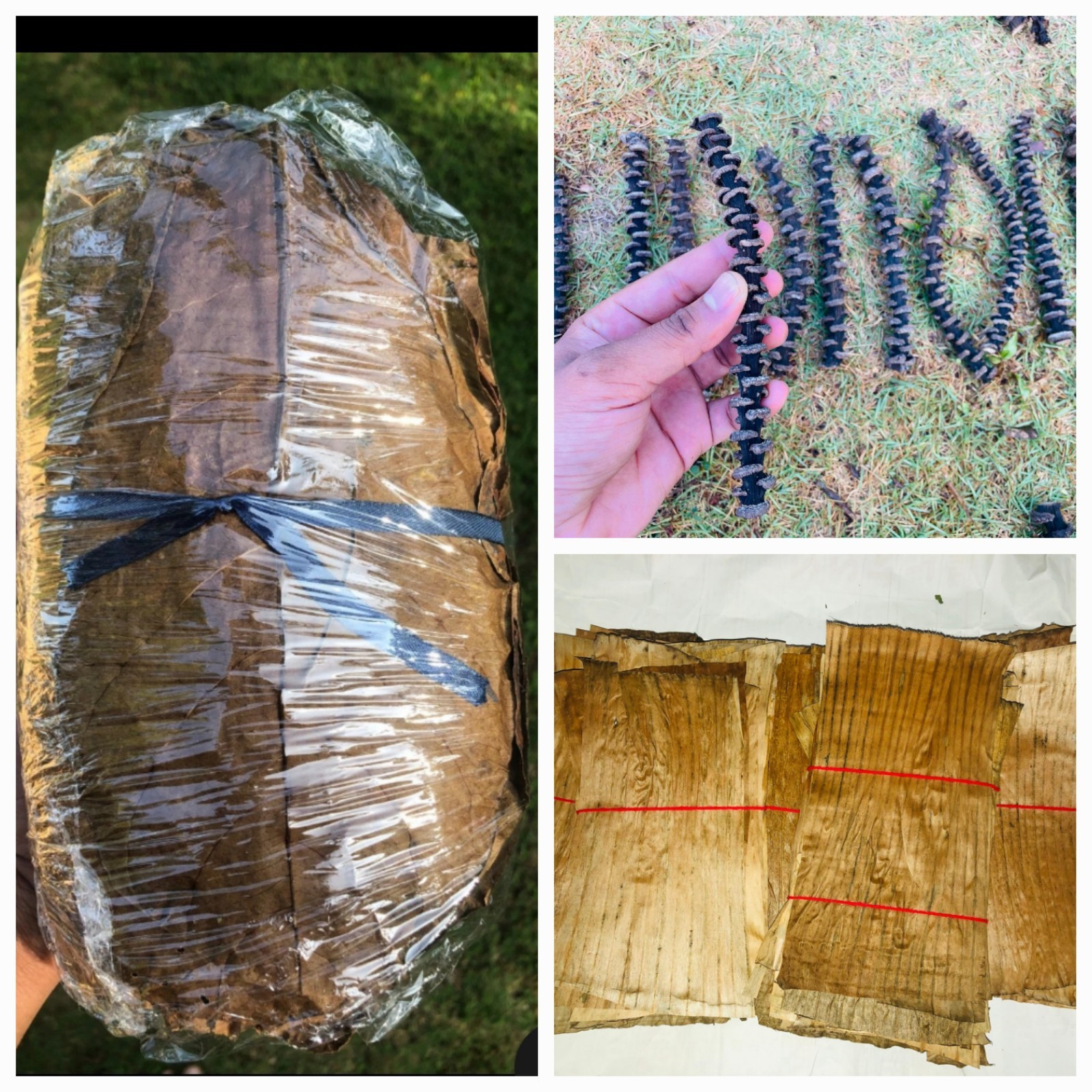 100pc Dried Banana Leaves,120g Almond Leaves,5pcs Banana Stems Fish Betta shrimp