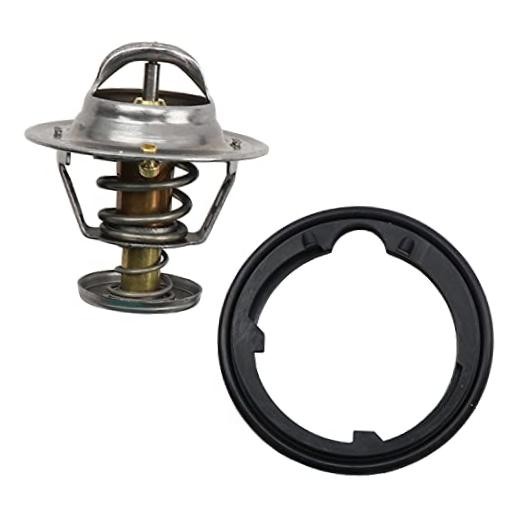 143-0807 Thermostat