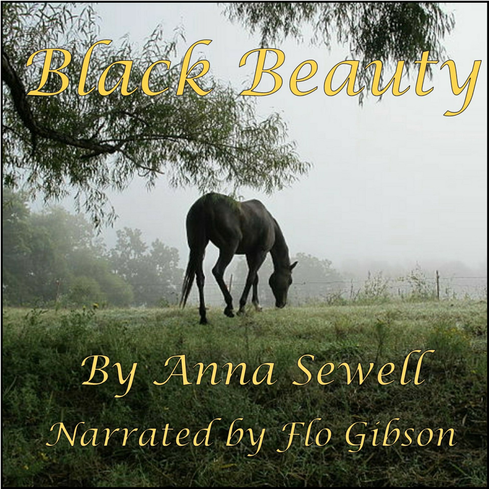 black beauty / audio books on cd  Flo Gibson / classic unabridged