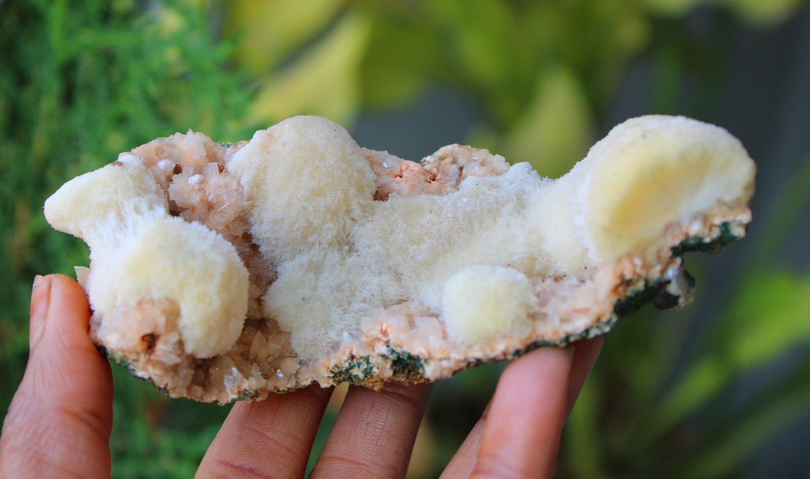 Thomsonite w/ Stilbite Formation On Matrix Minerals Specimen #M11