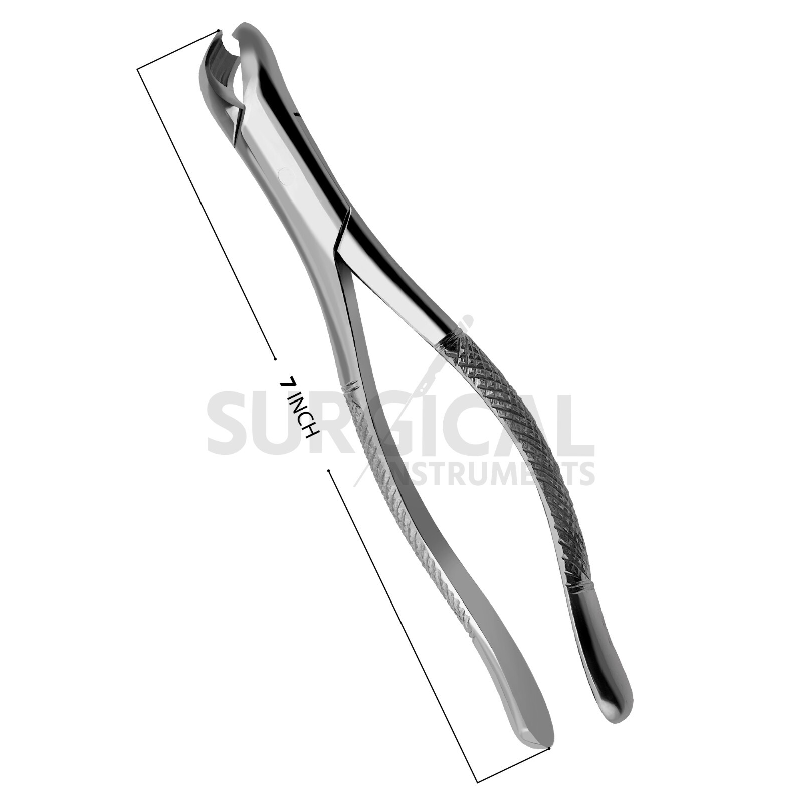 Extracting Forceps #89 Dental Surgical Instruments Stainless German Grade