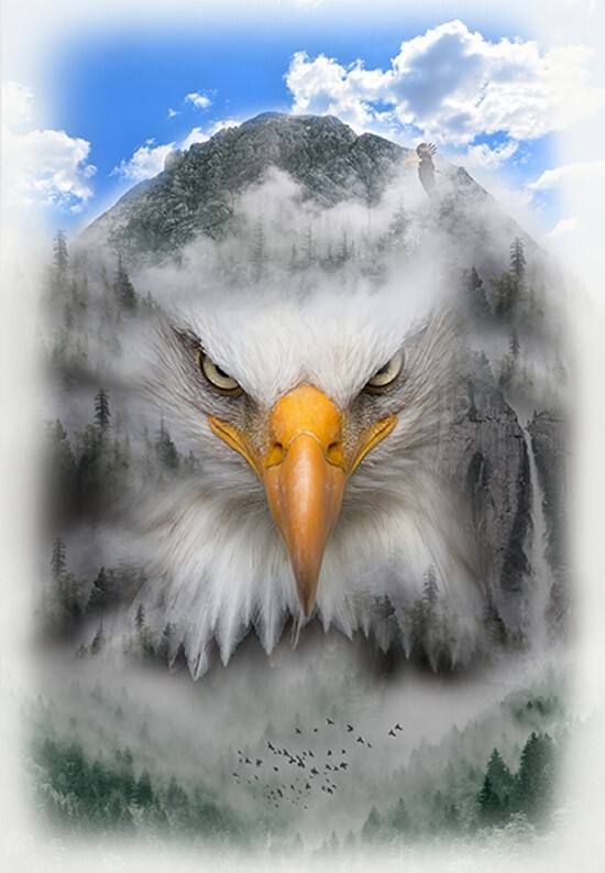 30" X 44" Panel Bald Eagle Mountains Call of the Wild Cotton Fabric D374.81