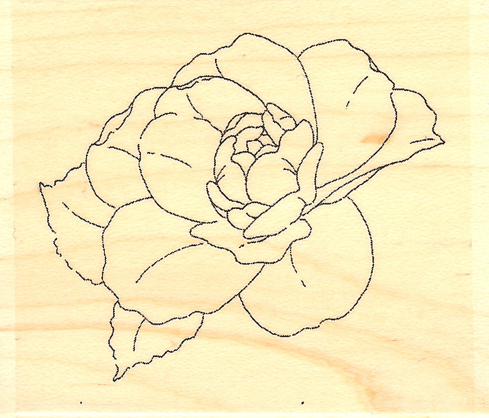 Tea Rose #3, Wood Mounted Rubber Stamp IMPRESSION OBSESSION - NEW, C20003