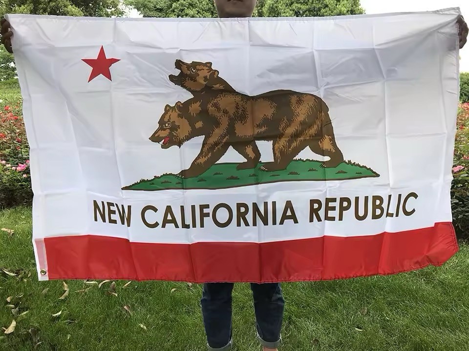 Fallout New Vegas NCR Flag 90x150cm Double-Sided Polyester Banner