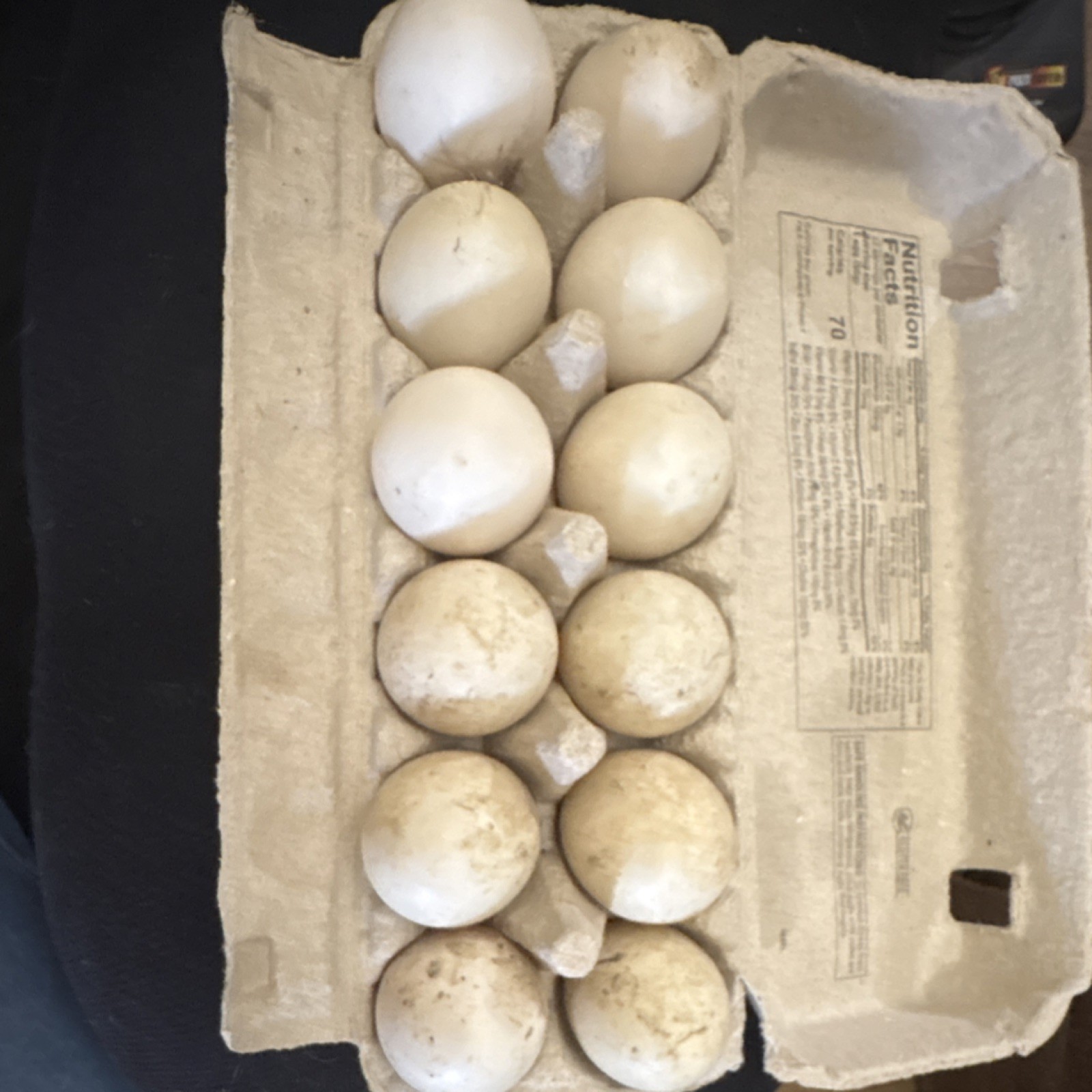 12+ Rouen x buff duck hatching eggs!