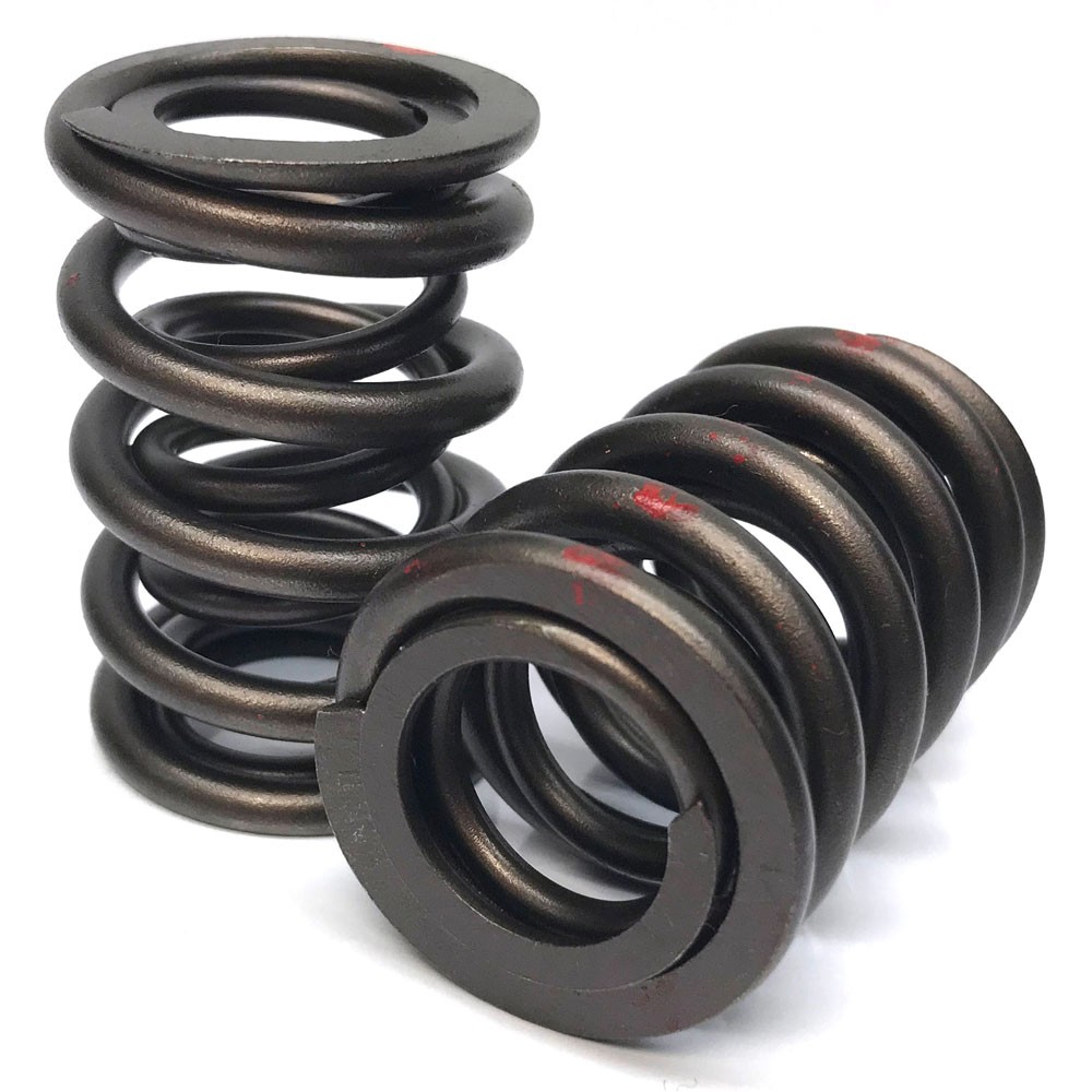 Renegade Valve Spring Set 99893-16; Dual, 120 lbs at 1.875 in., 1.460 in. OD