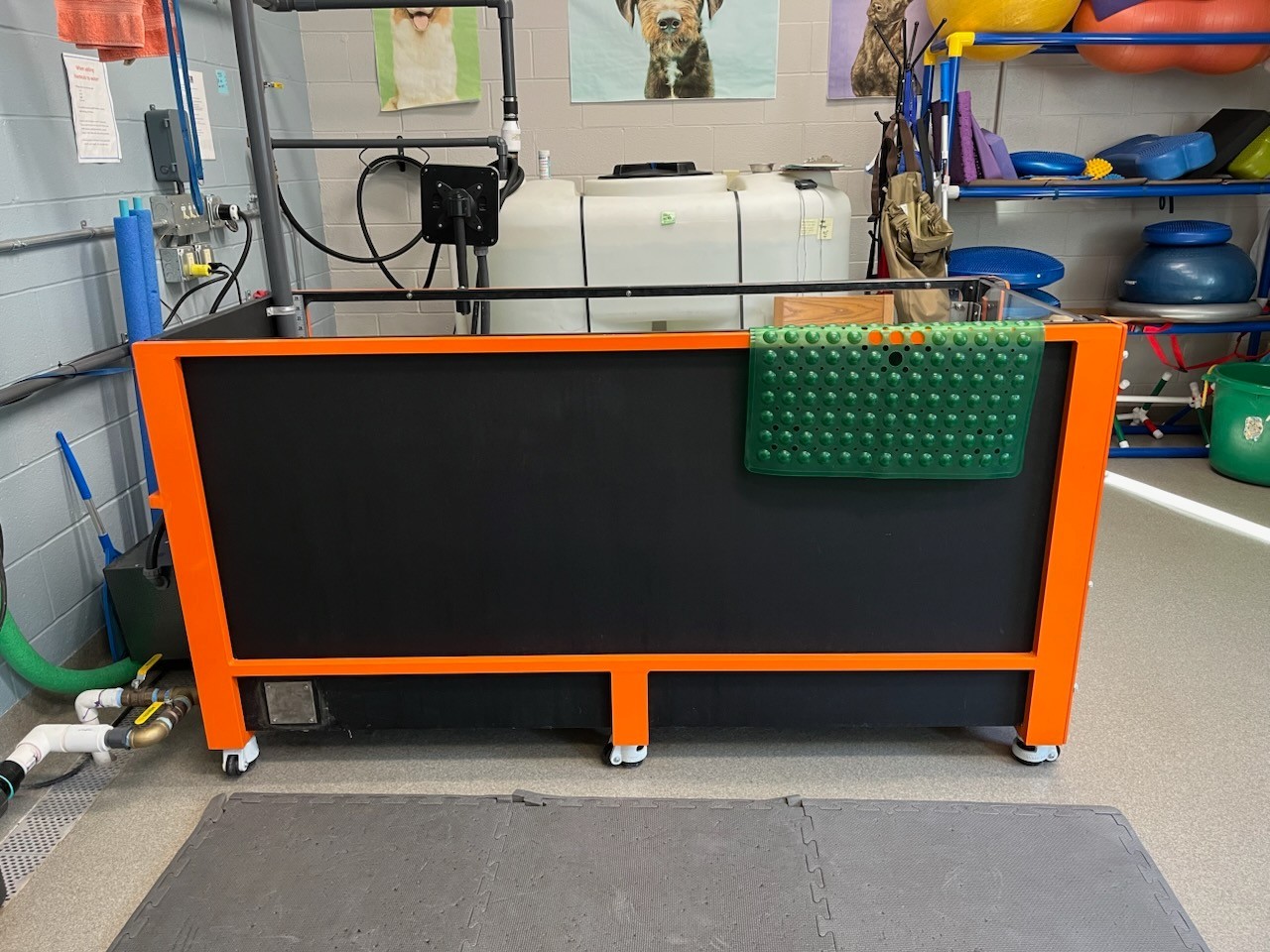 Underwater veterinary treadmill OASIS ECO