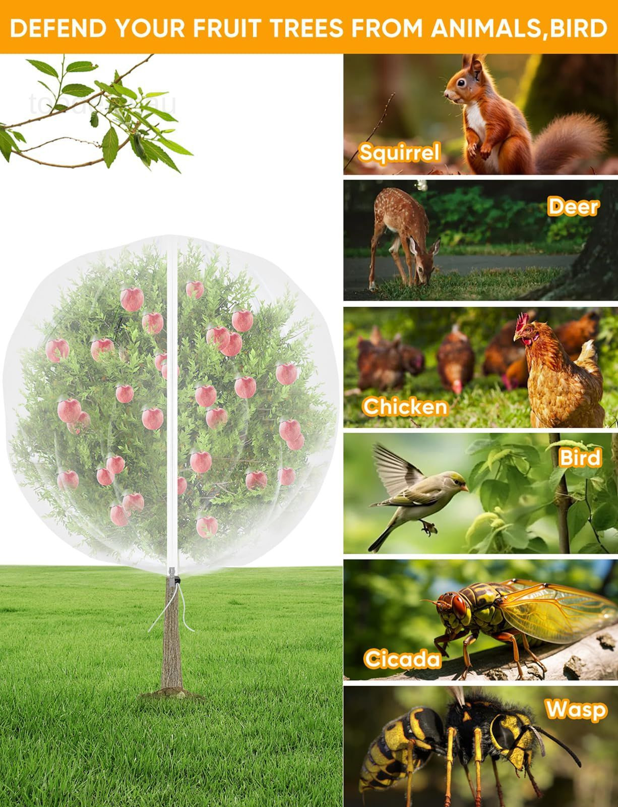 Fruit Tree Netting for Cicadas - with 2Pcs 6Ftx5.3Ft 6X5.3FT, White