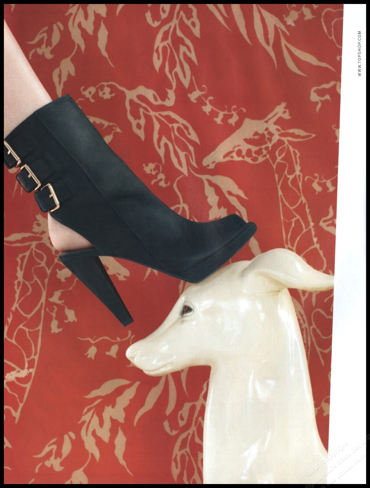 High Heels Magazine Print Ad Women Fashion Ankle shoes 2013-1pg