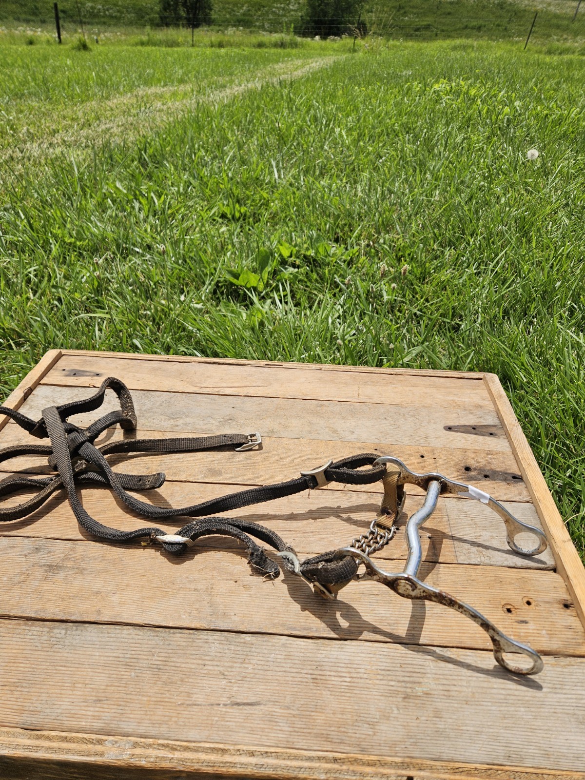 Western Grazing Curb Horse Bit - Low Port - Includes Nylon Bridle & Curb Chain