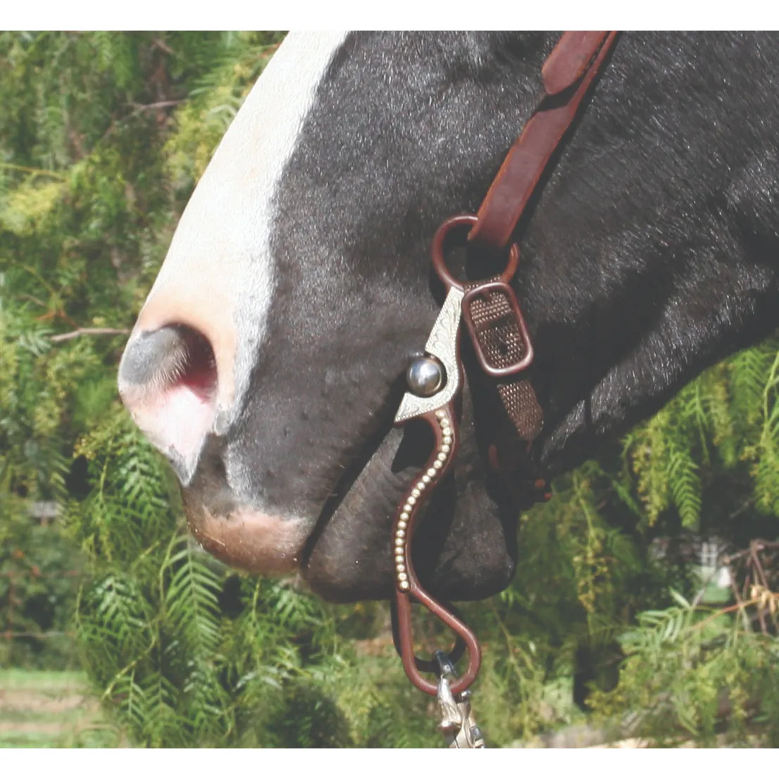 Professional's Choice Equine Signature Shank Correction Bit - 5” Sweet Iron