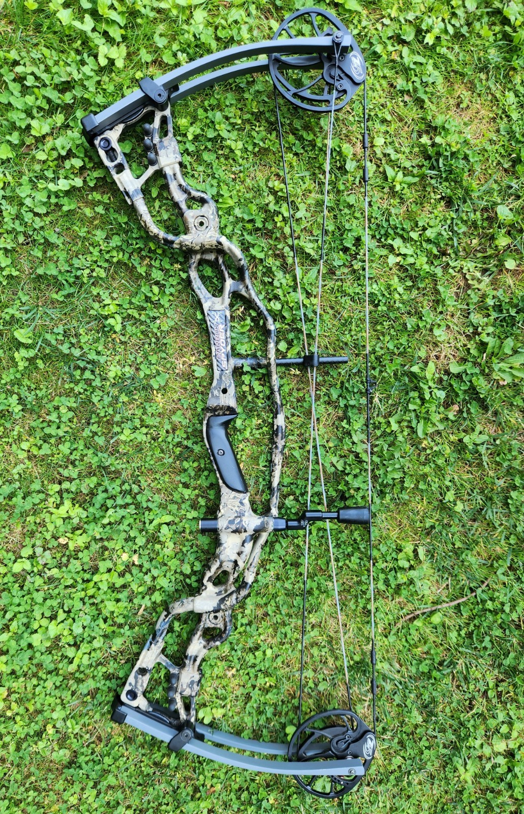 Hoyt Carbon Spyder 34, Custom, Excellent Condition