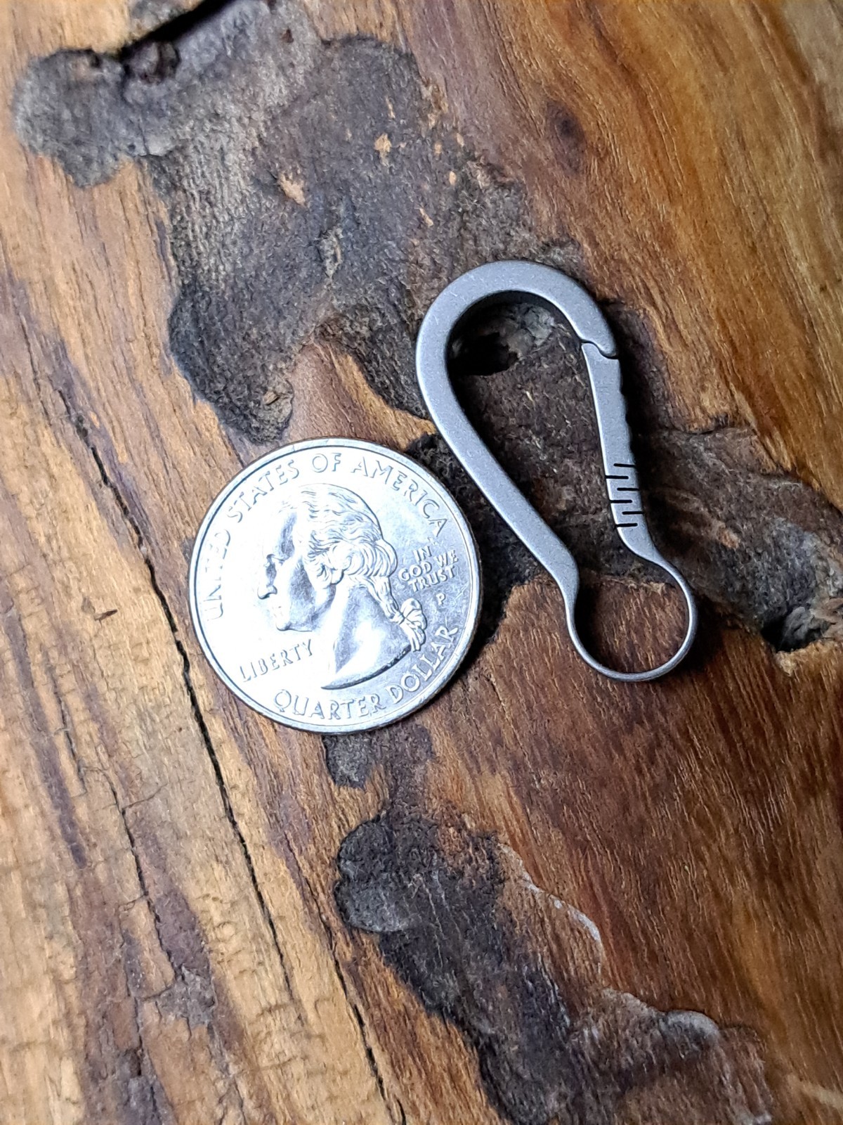 Pro Mini Series Titanium Carabiner