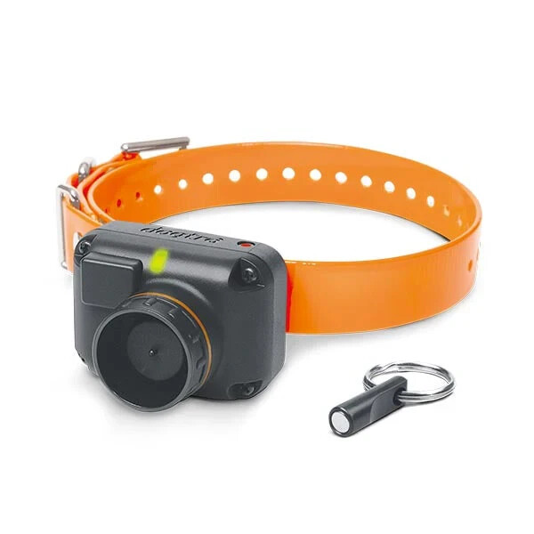 Dogtra STB Beeper Collar – Hawk Version Dog Training Collar