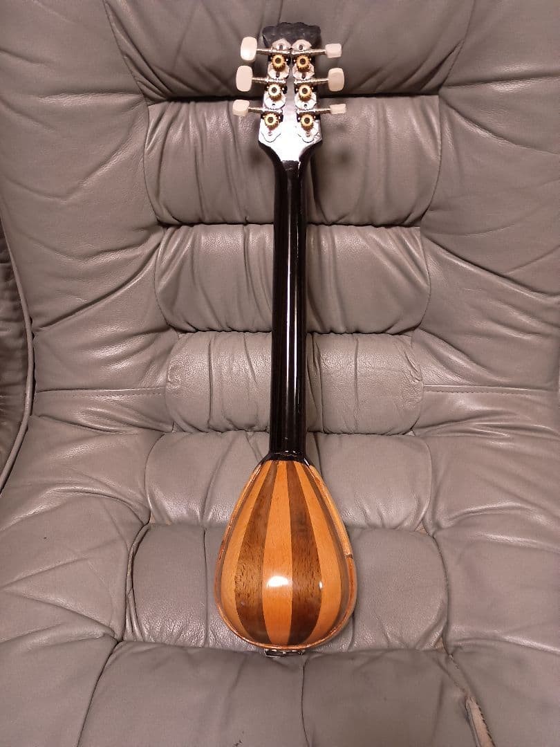 Beautiful item Rare item Flower pattern Mandolin with case