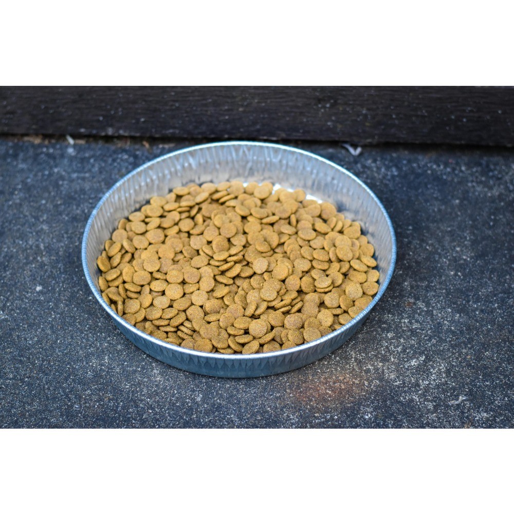 (2 pack) Bergan Galvanized Dog Pan