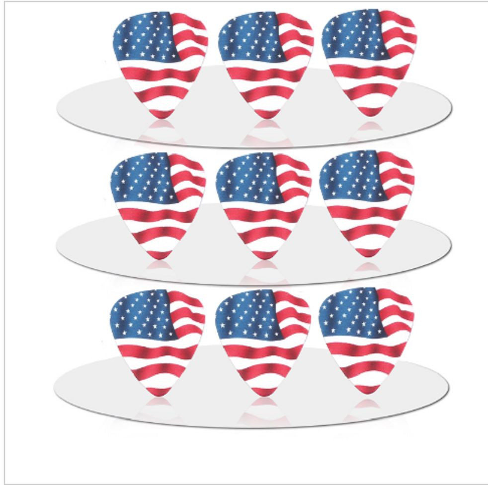United States of America USA Flag Guitar Picks Lot of 10 1.0 mm Free Track New