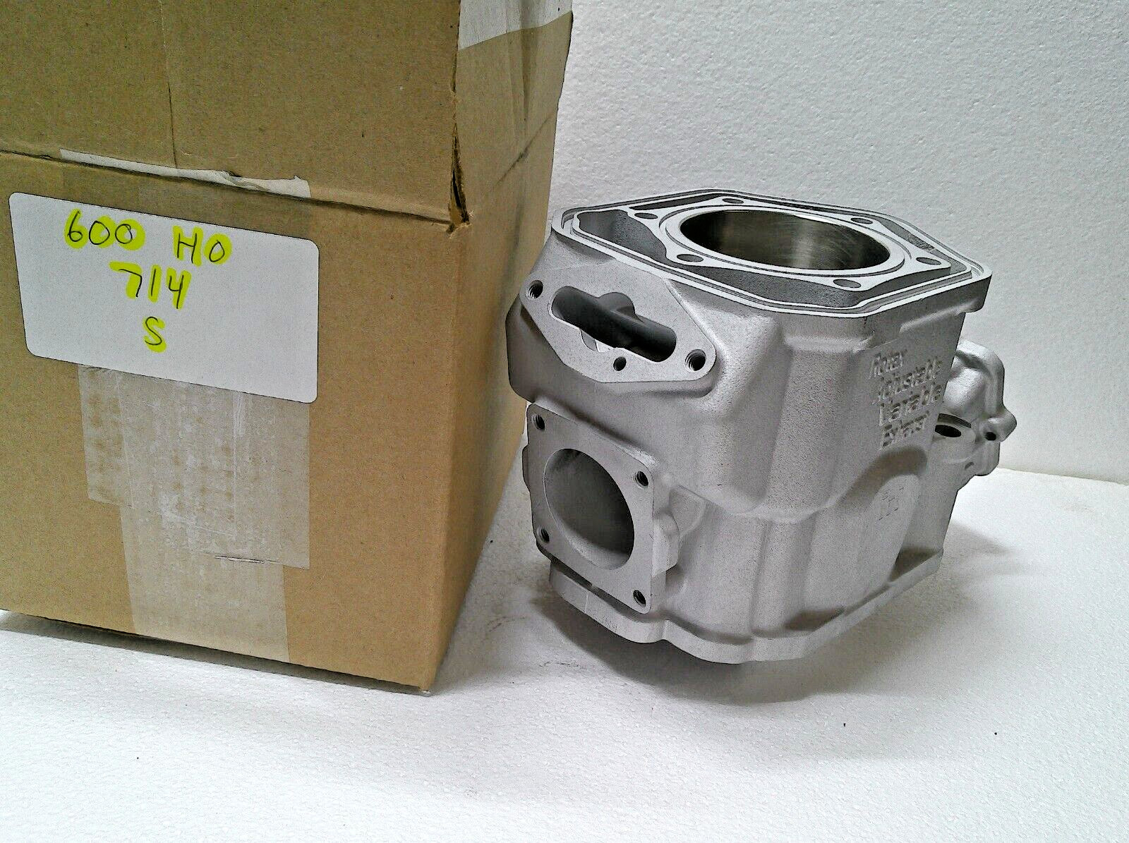 SkiDoo 600 HO Rev 613714 613710 Cylinder Snowmobile Engine MXZ GSX $75 Refund