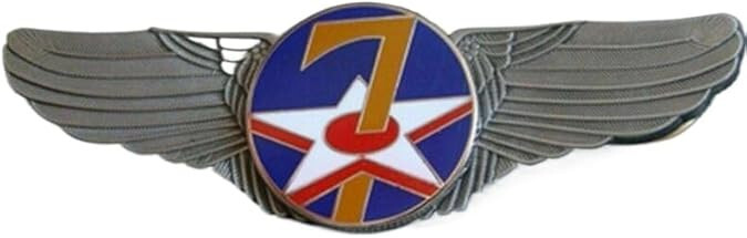 WW2 US AIR FORCE US 7TH AIR FORCE WINGS PIN INSIGNIA METAL COMMEMORATIVE BADGE