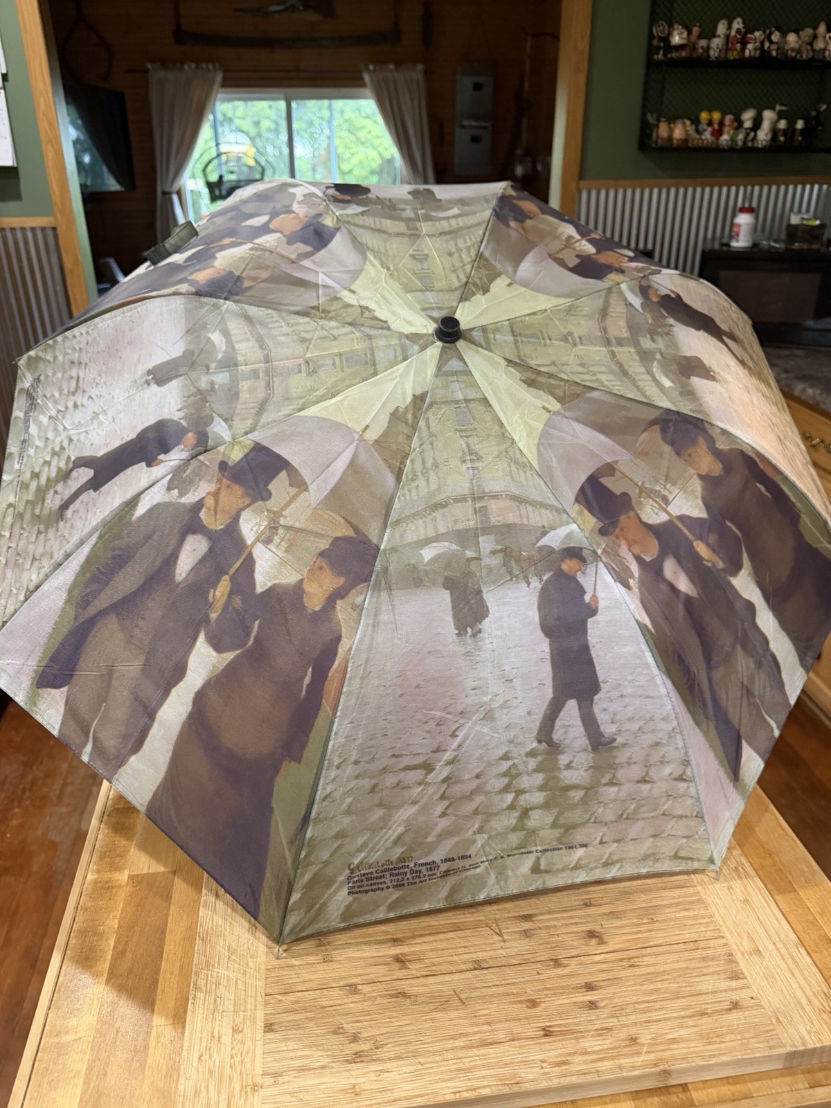 Vintage Umbrella Rainy Day Paris Street