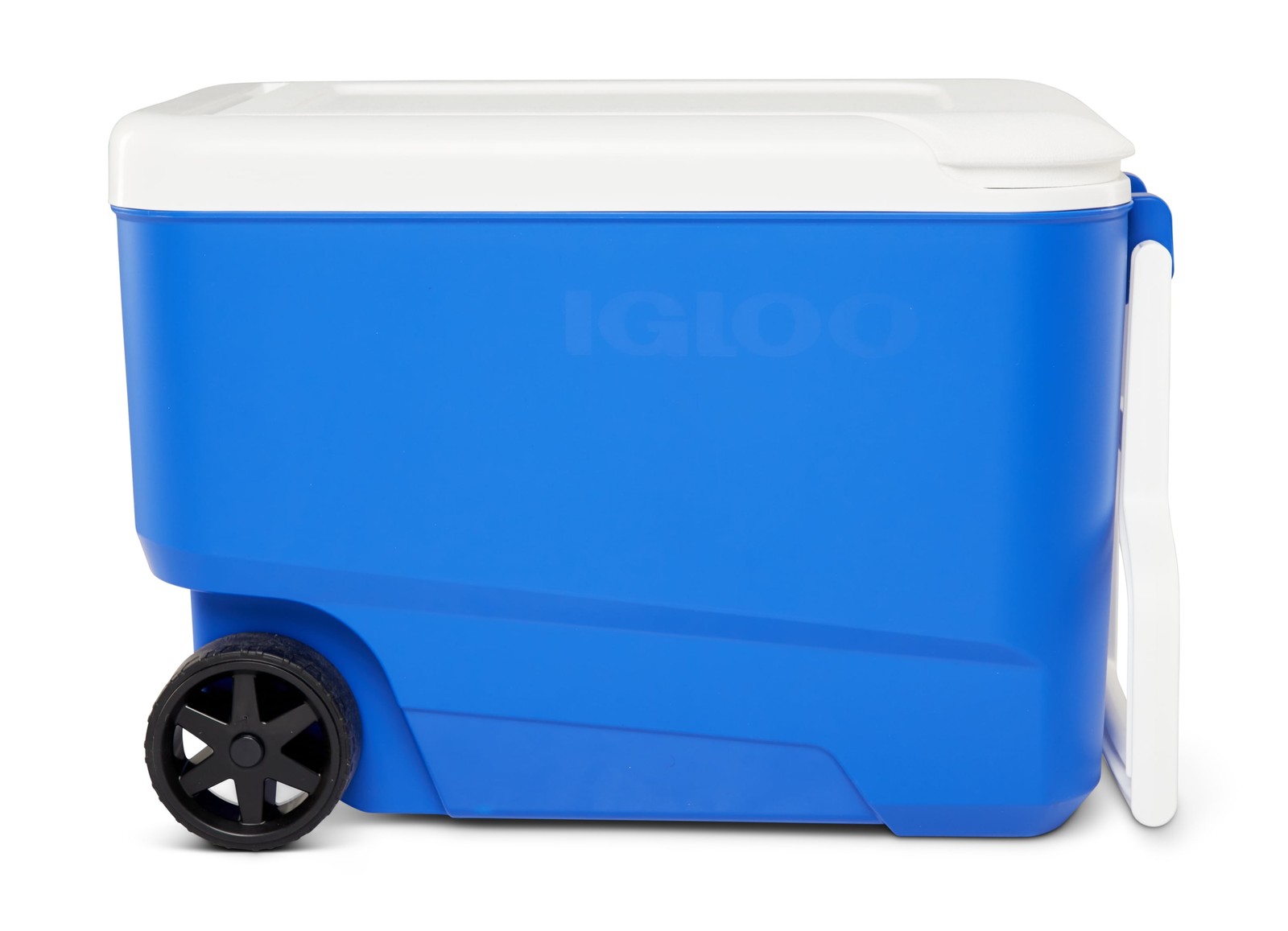 Igloo Wheelie Cool 38 QT Hard Sided Cooler with Wheels, Blue