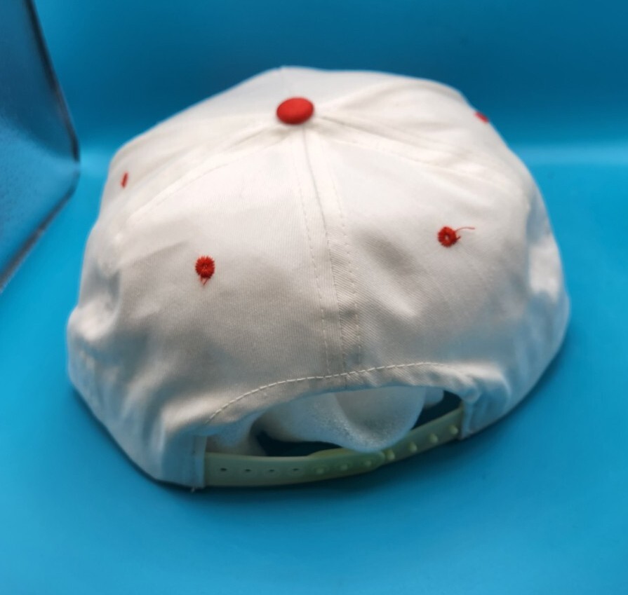VINTAGE Air Force Association Hat Cap Adjustable Snapback afa