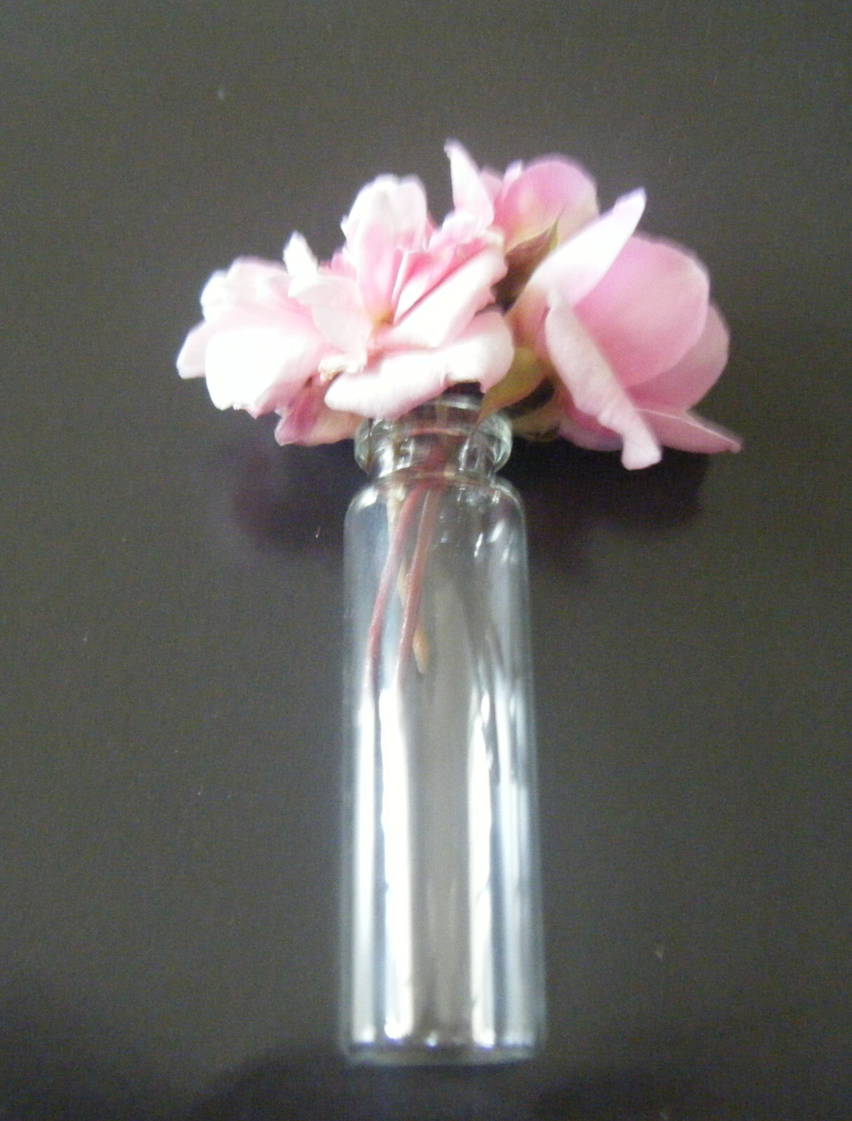 20 Pcs Transparent 3" (75mm) Bottle Clear Glass Bottles Vials With Cork