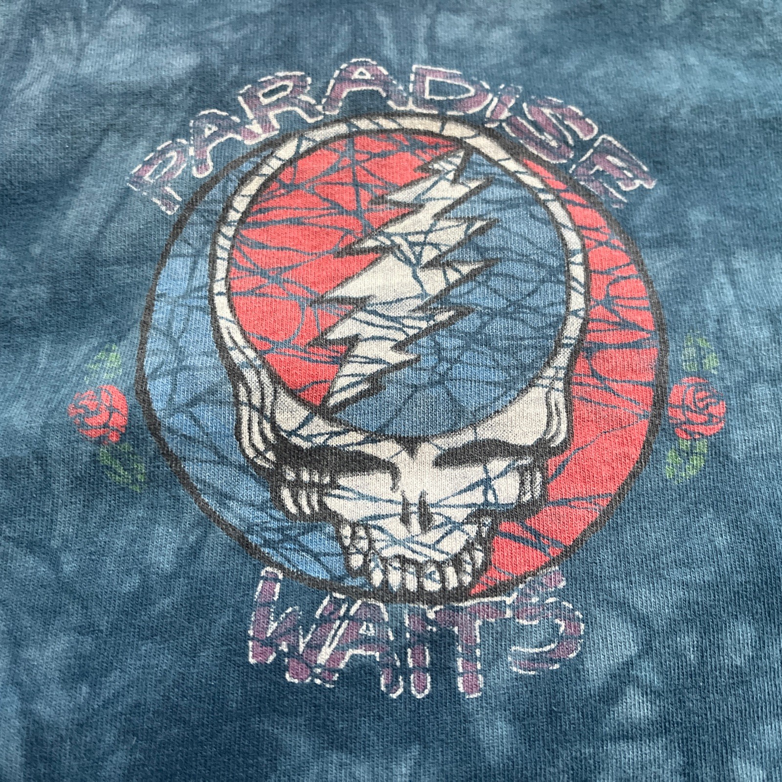 Grateful Dead 1994 Paradise Waits SYF Tye Dye Skeletons 2-Sided T Shirt L VG+