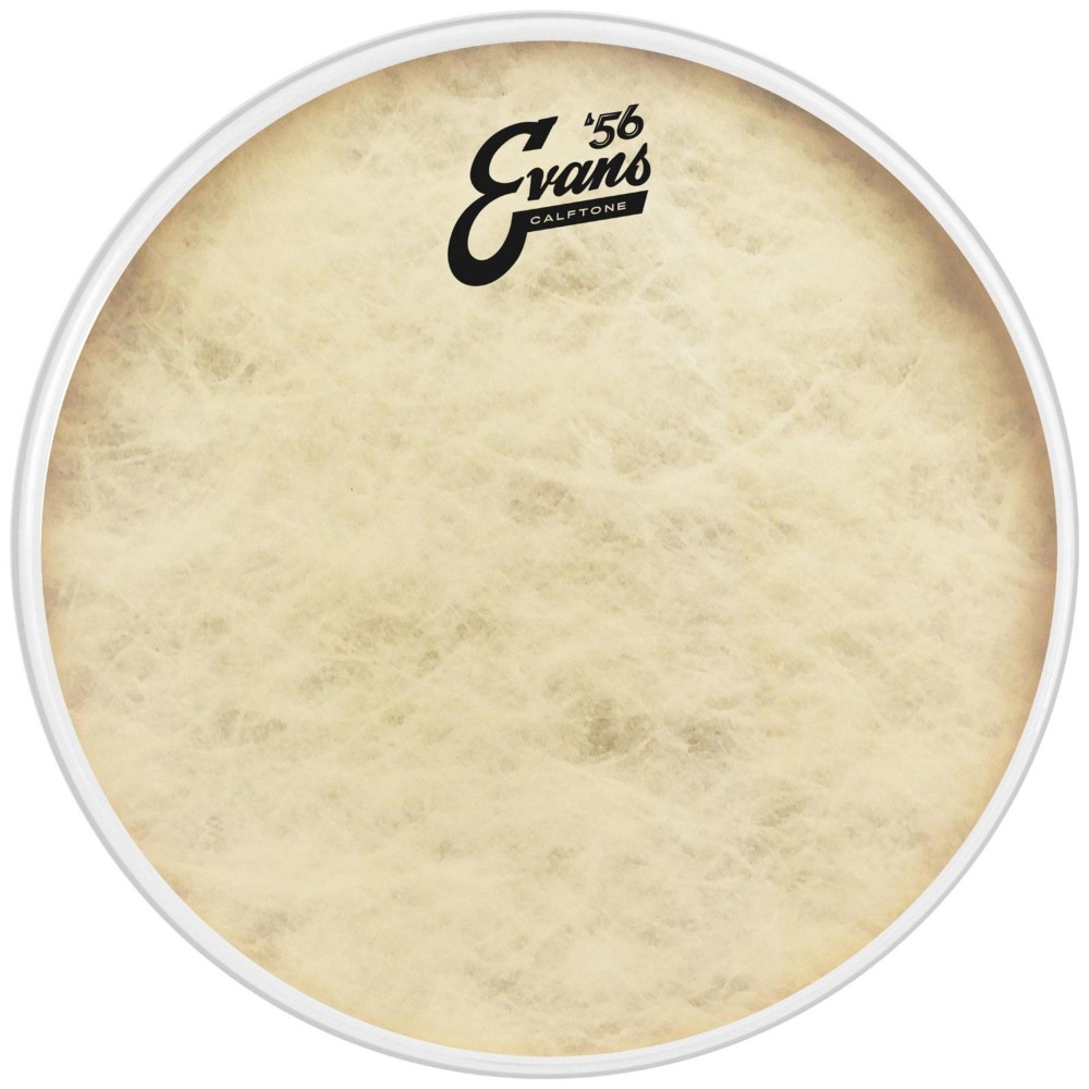 Evans Calftone Drumhead 12 in.