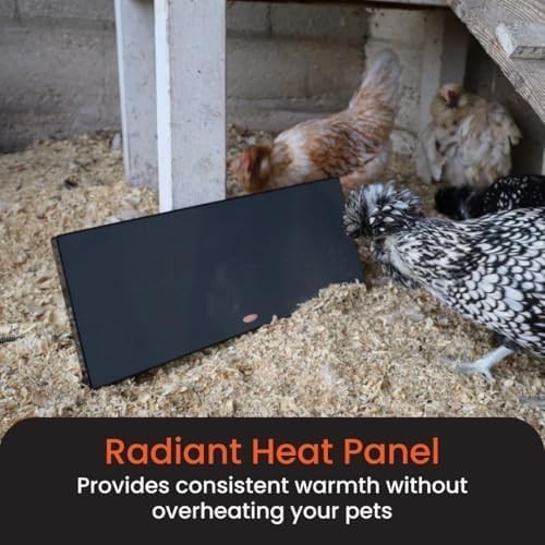Cozy Chicken Coop Heater 200 Watts Flat Panel Design Energy Efficient Black