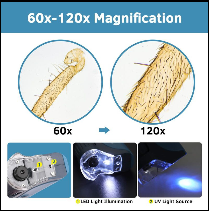 Pocket Microscope, 60x-120x Handheld Mini Kids with LED Lights, 5 Slides