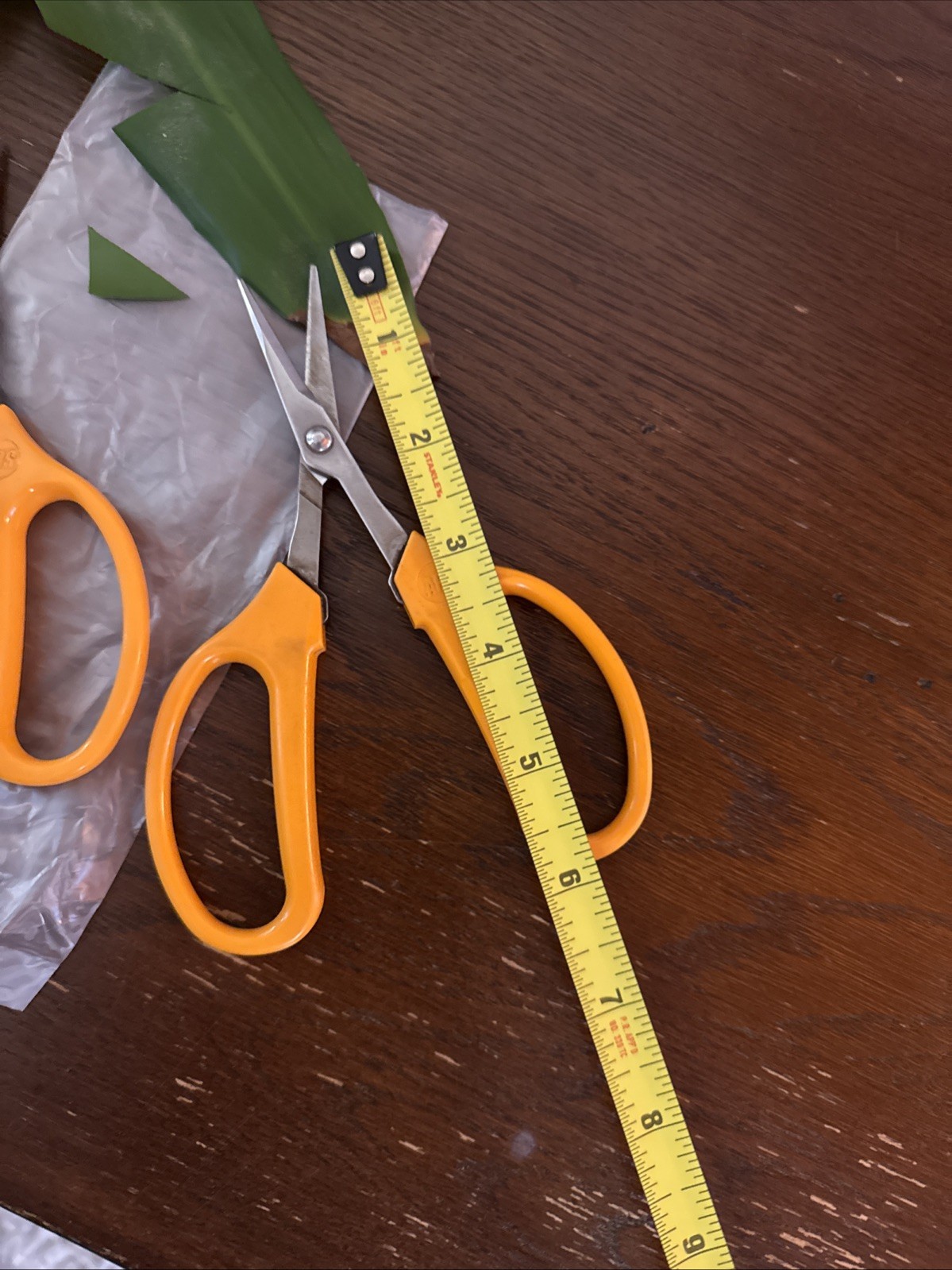 4-pack ARS Fruit Pruning And Trimming Scissors.