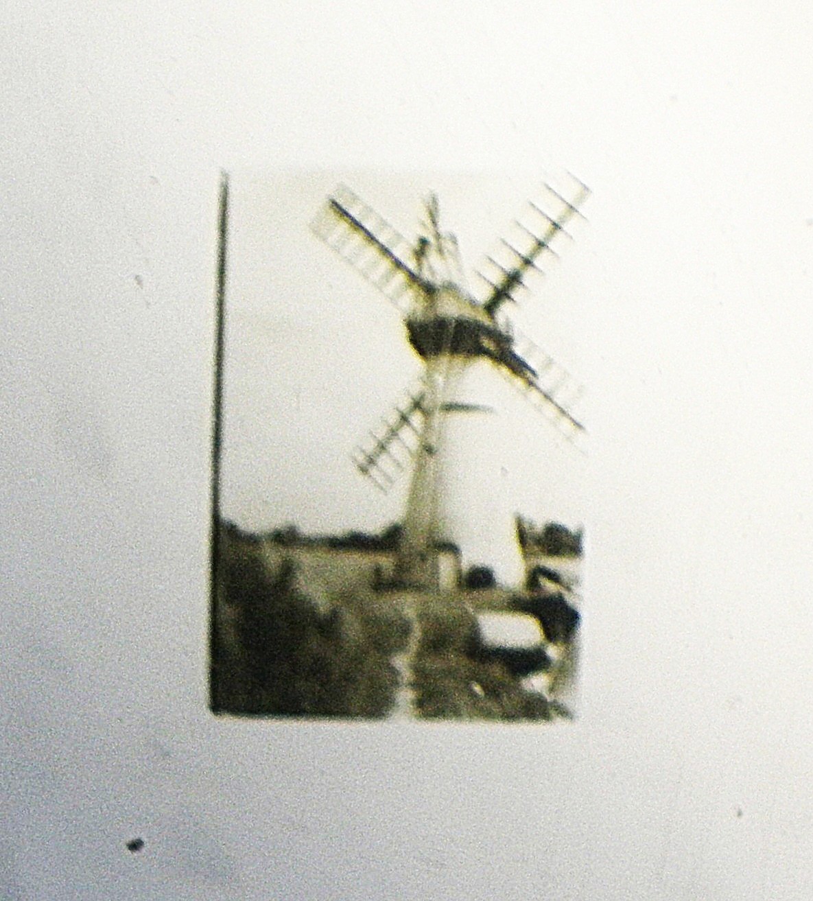 6 Vintage Microphotograph Slides. Please Read Labels for Descriptions.