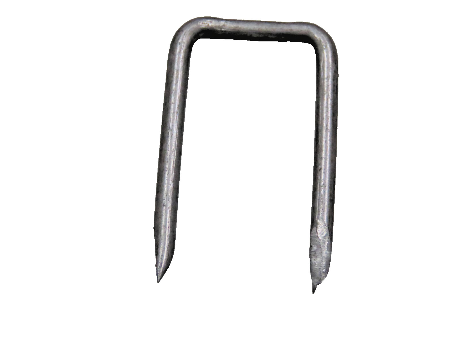 TOPAZ 193 CABLE STAPLES 1-1/4" Long  9/16" Wide (Pack of 100)