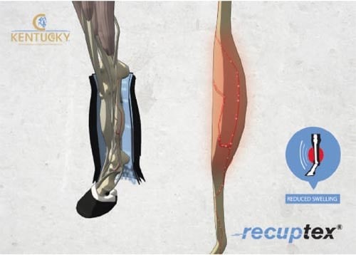 Kentucky Stable Boots Recuptex