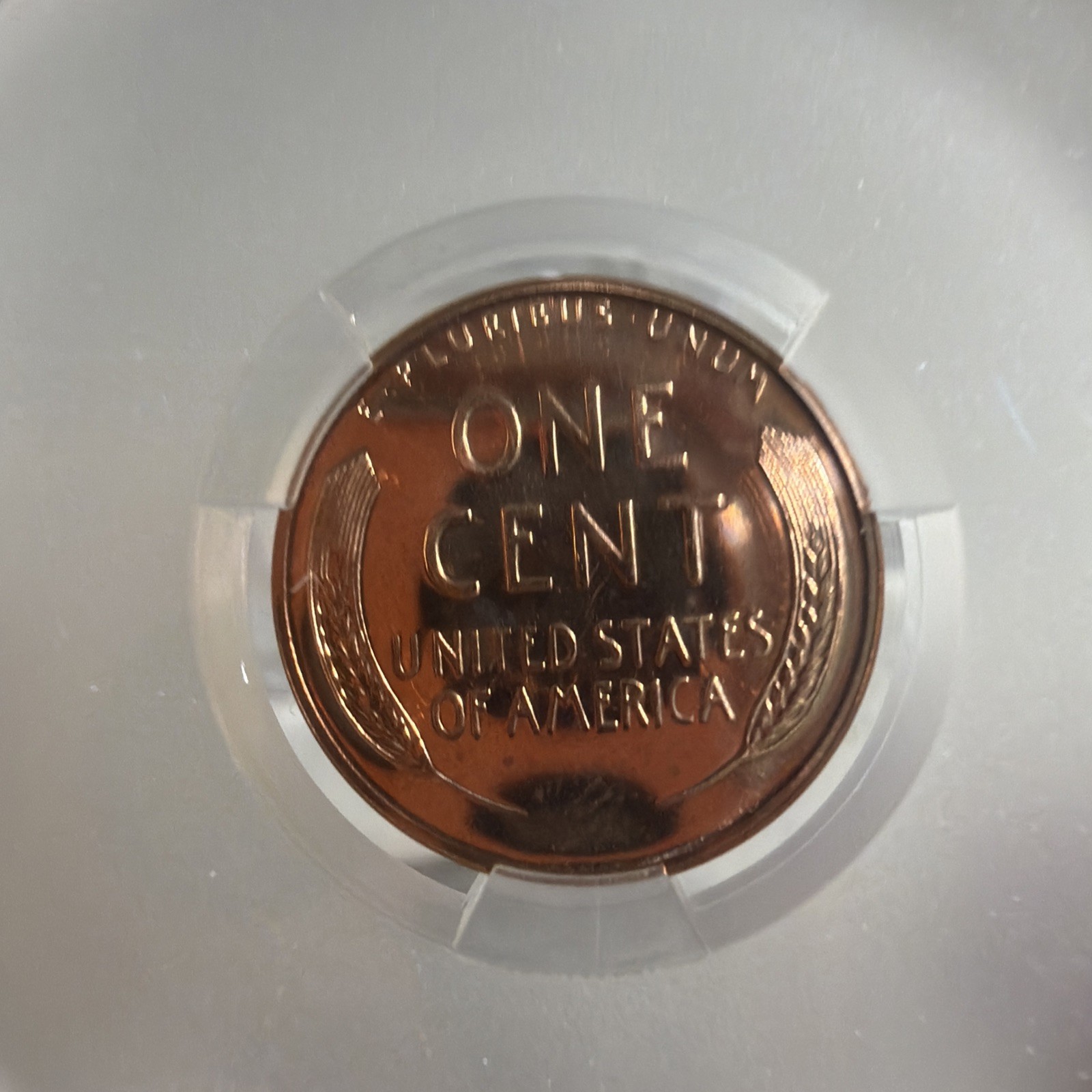 1954 Proof Set CAC Pr 64, 66, 66, 66, 63 Red