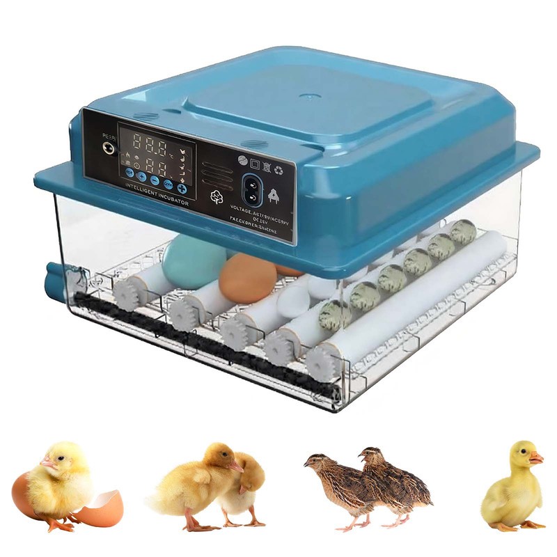 16,36 Eggs Incubator for Hatching Eggs with Automatic Turner