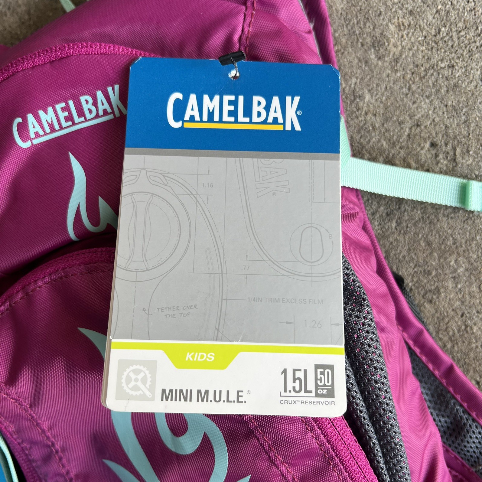 CamelBak Mini M.U.L.E. Kids Hydration Backpack, 50 oz, Purple #032