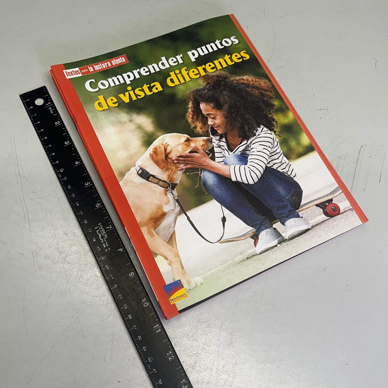 BENCHMARK EDUCATION (10 SET) Multiple Learning Point Books Grade 4 Spanish Editi