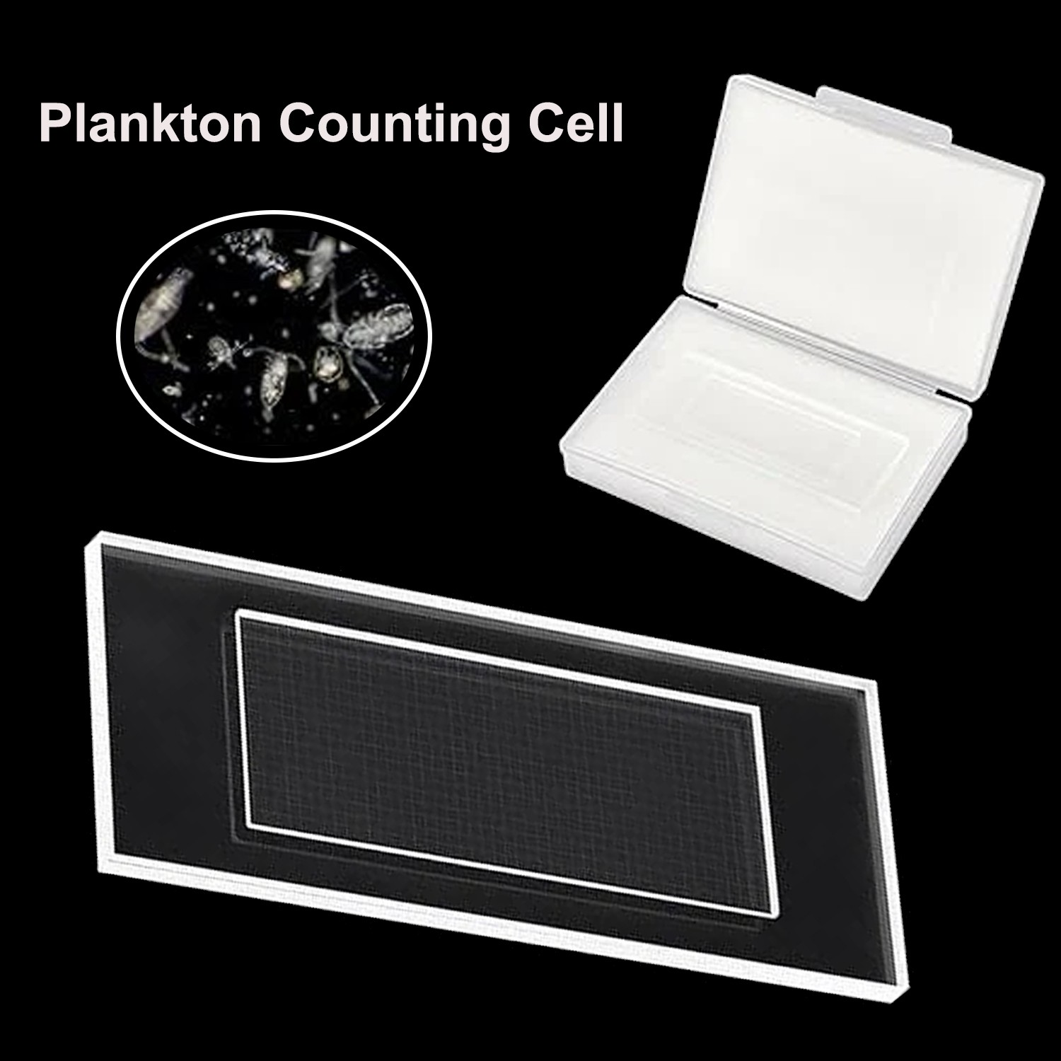 Sedgwick Rafter Plankton Counting Chamber Microscope Slide 100pcs Cover Glass