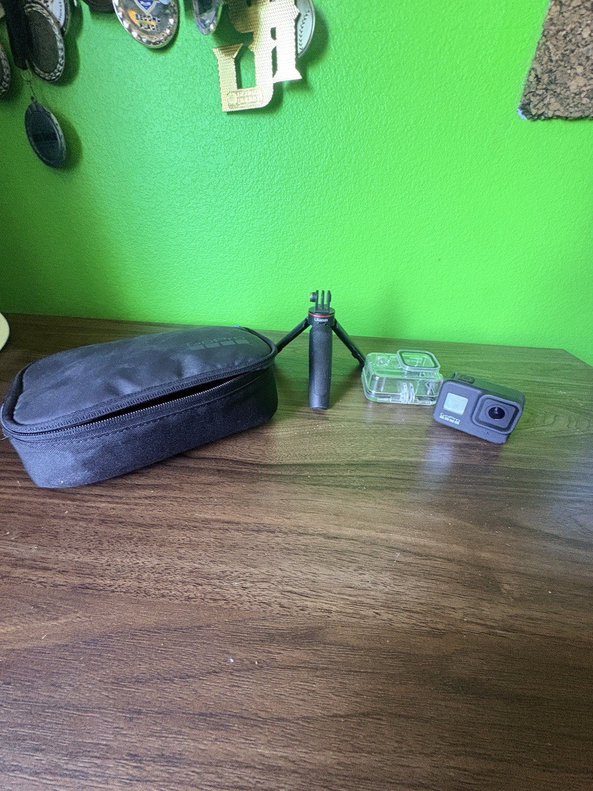 GoPro HERO8 Black Black Camera Accessory Bundle w/ Carry Case, Mount, Housing