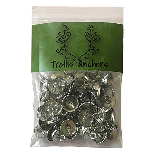 50-Piece Anchors for Trellis, Vine, Wall Climbing Plants, Lighting Silver