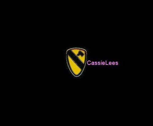 1st Cavalry / First Cav 5/8" + a custom promo pin