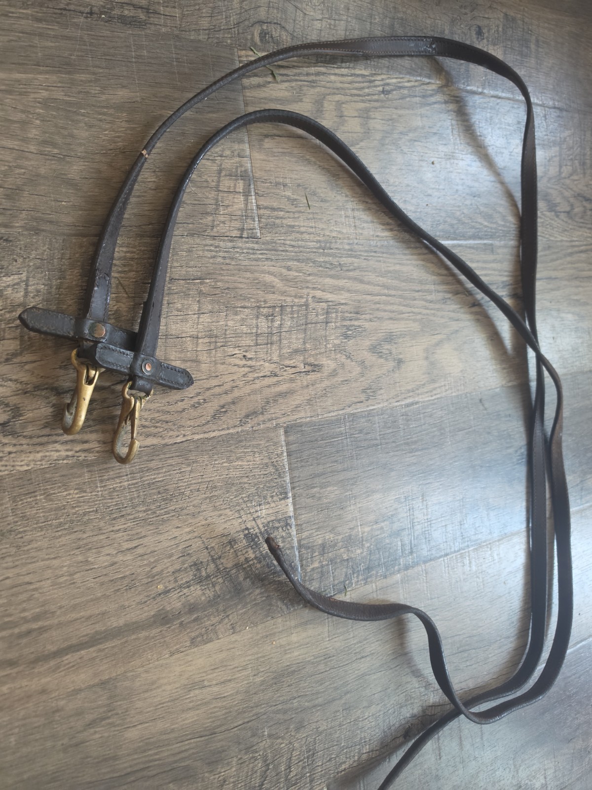 Riding Reins