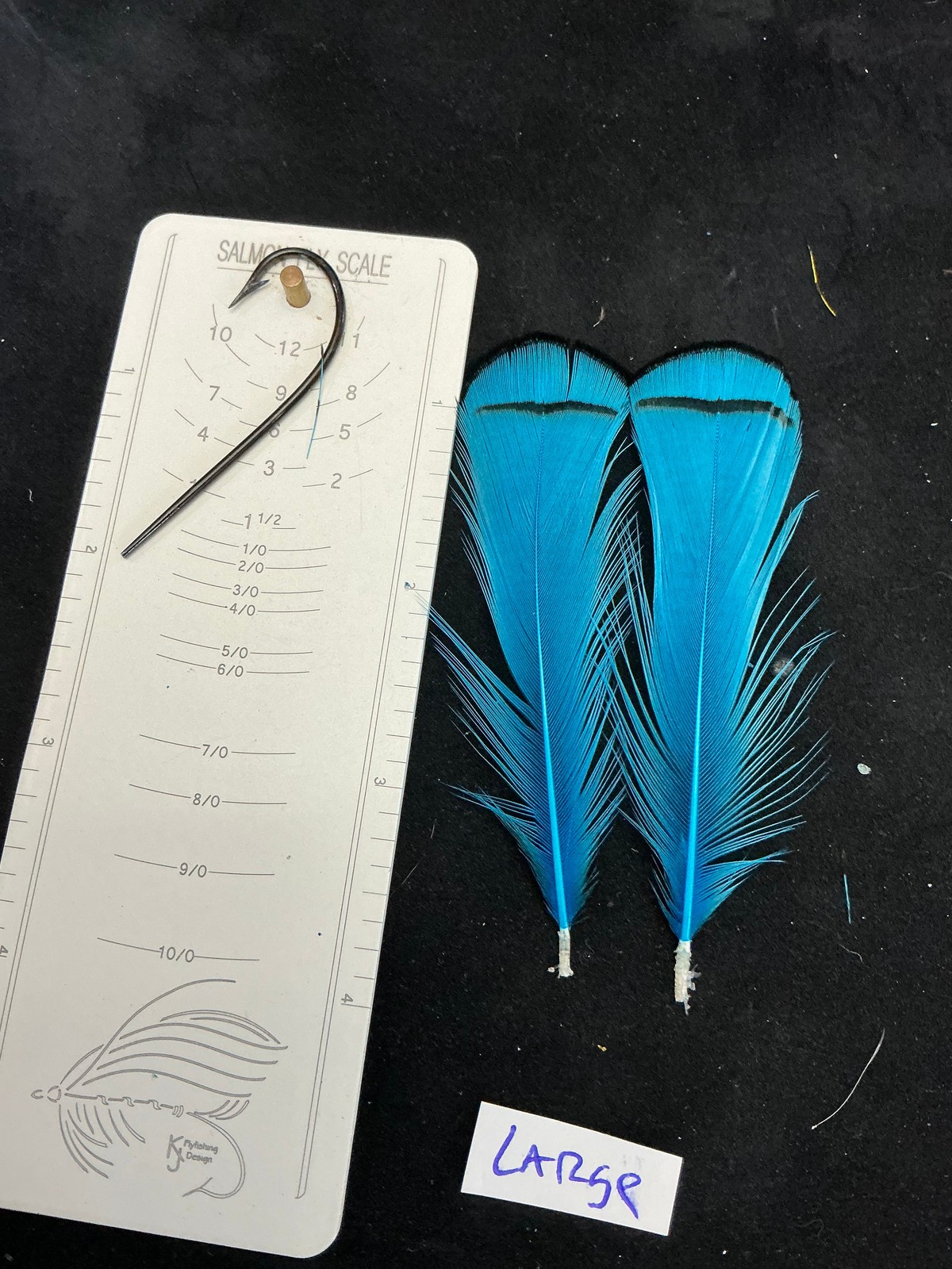 Lady Amherst Pheasant Tippets Dyed Kingfisher Blue